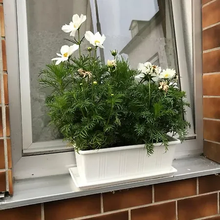 Ferienhaus Loehr Mit Treppenlift *